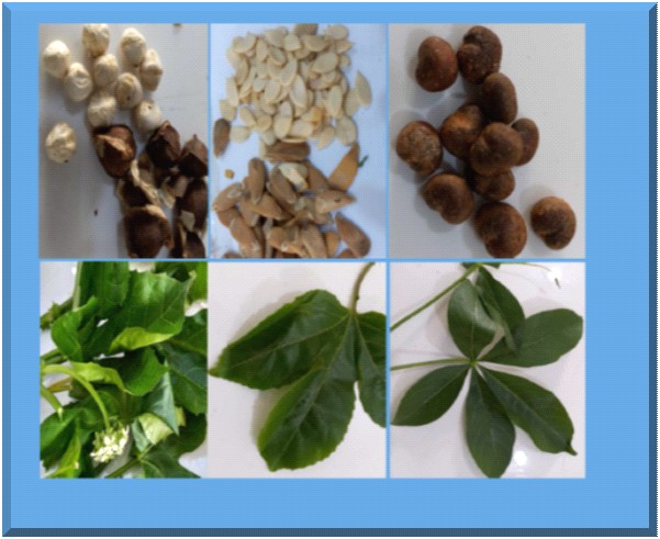 Image de couverture du numéro