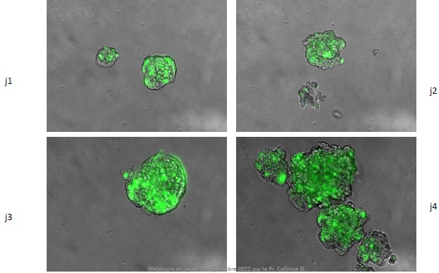 Image de couverture du numéro