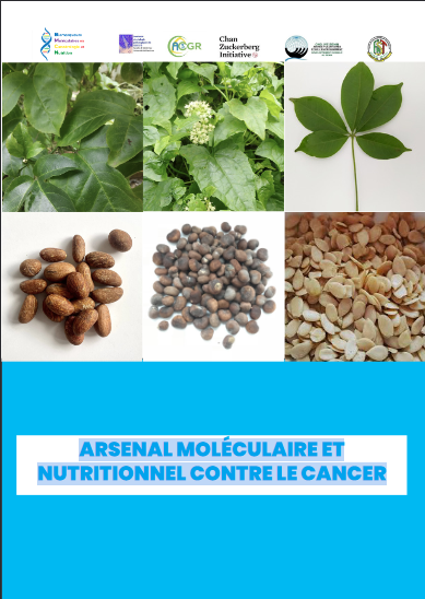 Image de couverture du numero